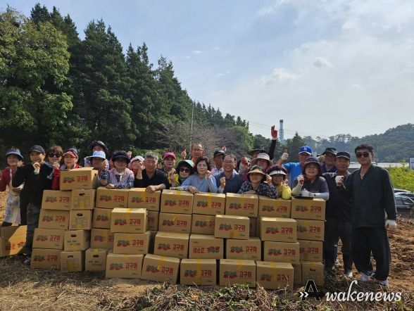 오산 남촌동 통장단협의회, 사랑의 고구마 수확