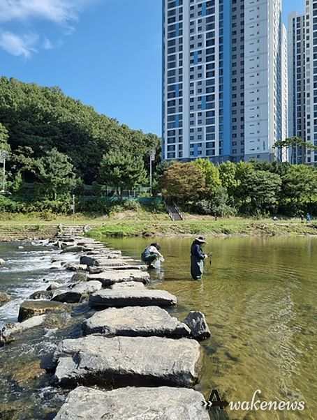 생물화학적 산소요구량(BOD)이 최근 9개월 월평균 리터당 1.8㎎로 측정된 탄천 돌마교 지점
