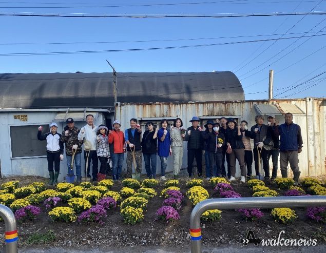 고양특례시 장항1동, 가을맞이 국화 식재 실시