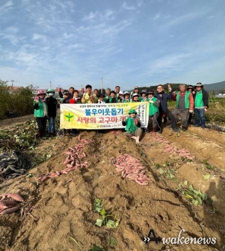 포천시 선단동 새마을지도자·부녀협의회, 사랑의 고구마 캐기 행사