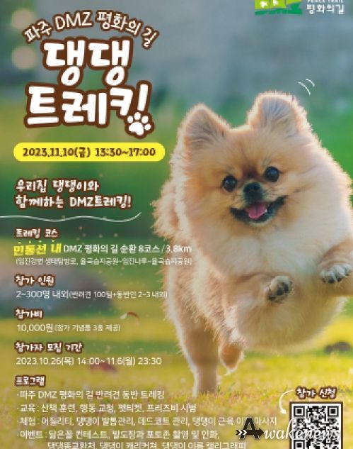 파주 디엠지(DMZ) 평화의 길, 우리집 댕댕이와 함께하는 걷기 행사