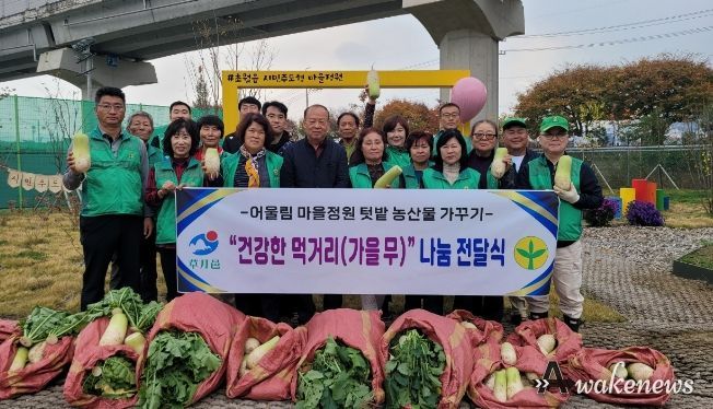 광주시 초월읍 새마을협의회, 마을정원 텃밭 농산물(무) 나눔 행사
