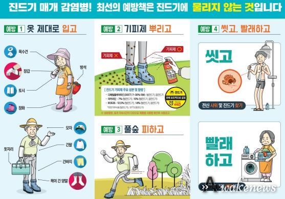 최근 4주간 쯔쯔가무시증 환자 5배 이상 증가