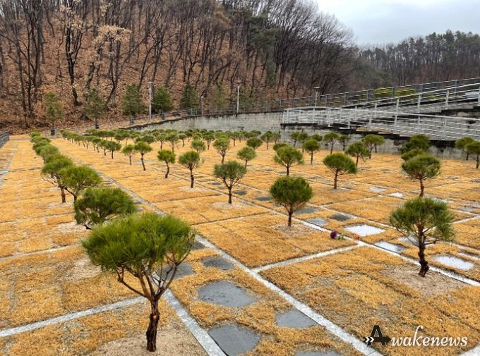 용인도시공사, 용인 평온의 숲 가족형 수목장 추가 조성