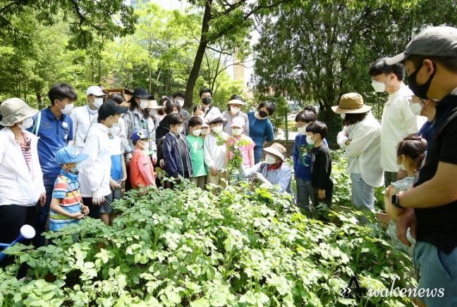 의왕시, 2024년 가막들공원 온가족텃밭교실 참여가족 모집
