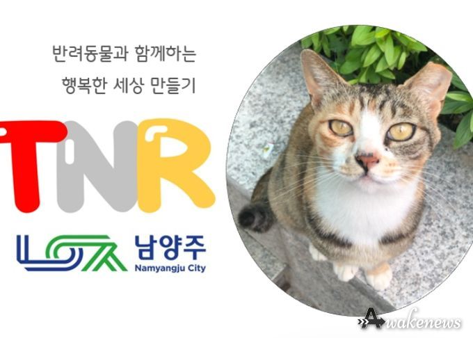 남양주시, 길고양이 중성화 수술비 지원사업 실시