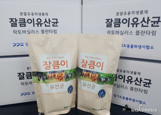 잘큼이유산균