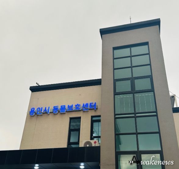 용인시 동물보호센터