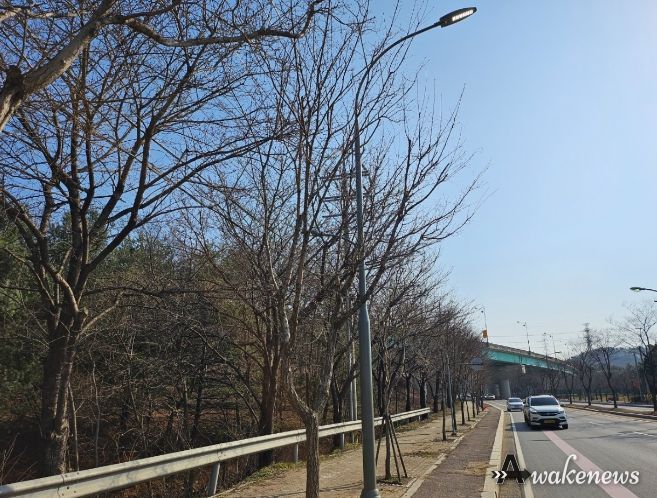 처인구가 내달까지 노후 가로등주를 교체한다. 사진은 가로등이 LED 조명으로 교체된 모습