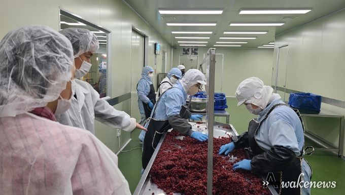경기도, 가공업소‧백화점 등 대상 냉동과일 안전 점검