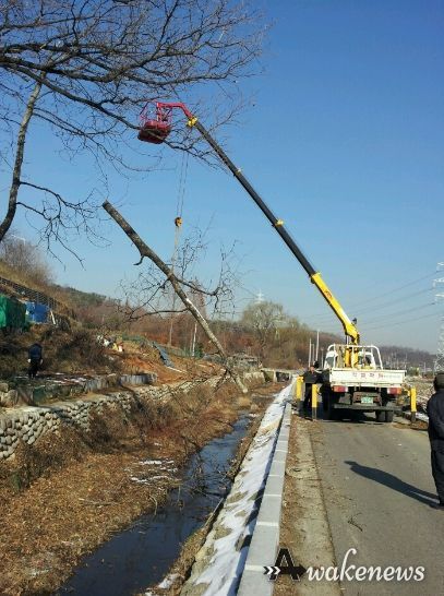 안산시, 주택가 등 인근 위험 수목 정비… 우기 대비 사전 예방