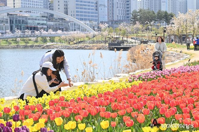 미사호수공원을 방문한 시민들이 만개한 튤립을 감상하며 미소 짓고 있다.