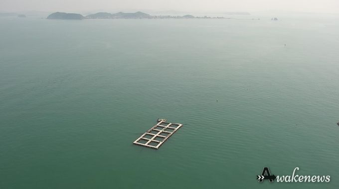 드론을 이용한 가두리 양식장 실태조사