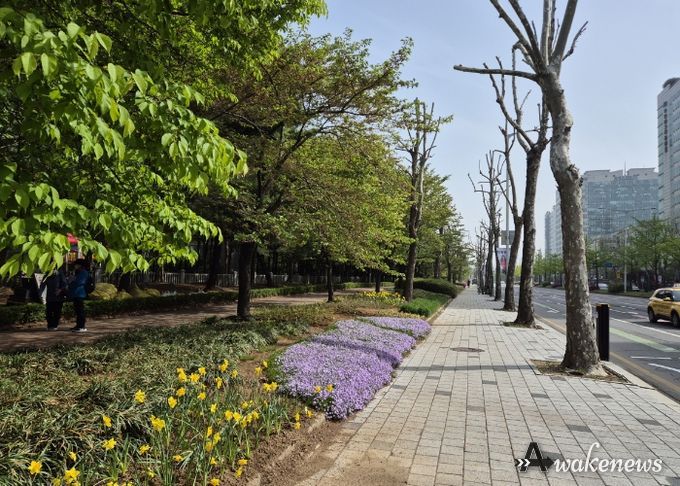 고양특례시 일산서구, 도로변에 화사한 꽃길 조성