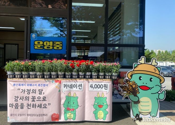 용인특례시가 5월 7일까지 용인시 로컬푸드 행복장터에서 지역에서 생산된 카네이션을 저렴하게 판매한다.