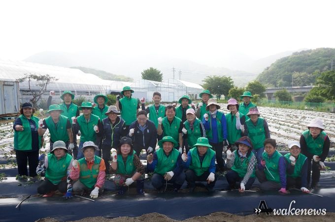 강수현 양주시장, 장흥면 새마을회 주관 ‘고구마 심기 행사’ 현장 방문