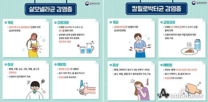 살모넬라균·감필로박터균 감염증 안내 자료
