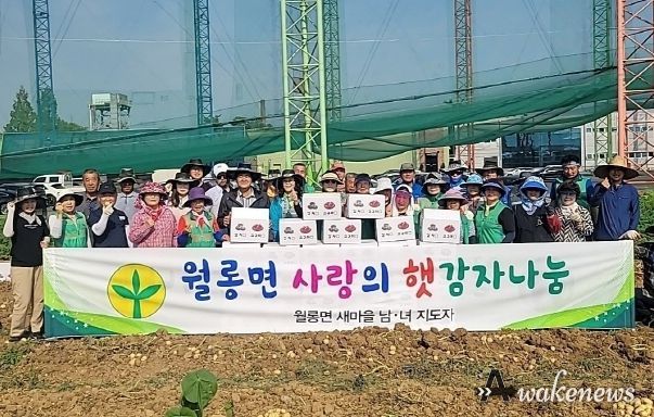 파주시 월롱면 새마을회 사랑의 햇감자 나누기