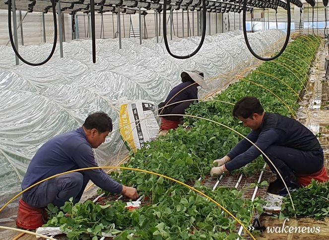 양주시, ‘신규농업인 현장실습교육’멘토링 운영