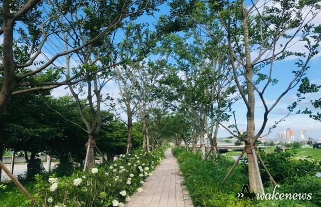 평택 바람길 숲