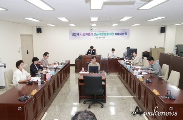 고양시K-컬처밸리성공적완성을위한특별위원회 제3차 회의 개최