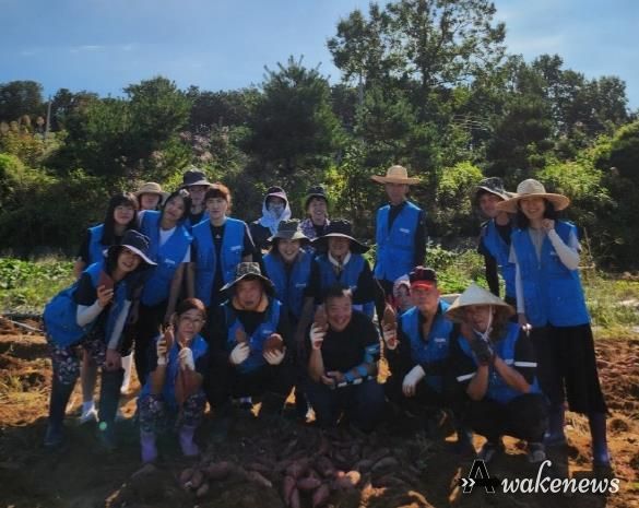바르게살기운동 평택시중앙동위원회, 나눔 기부를 위한 고구마 캐기