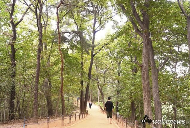 광교호수공원 내에 조성된 황톳길을 시민들이 걷고 있는 모습.