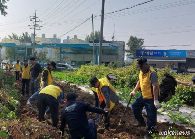 파주시 조리읍 실버경찰대, 고구마 기탁으로 이웃 사랑 나눔 실천
