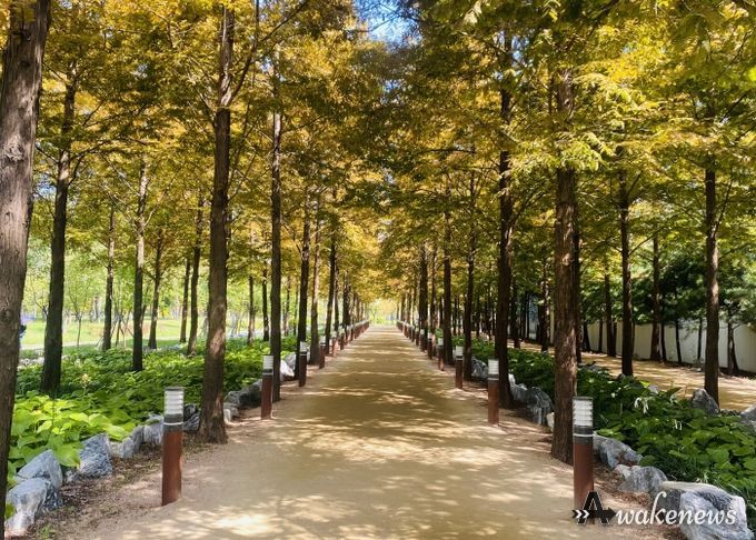 한강중앙공원 맨발걷기 길