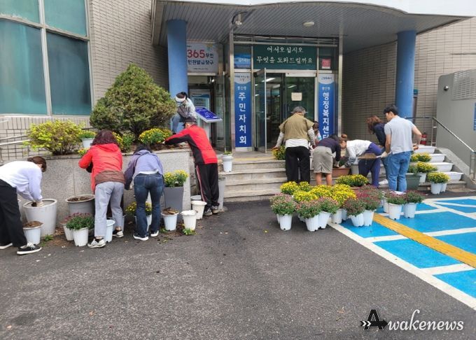 고양시 풍산동, 가을맞이 초화 식재