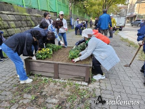고양시 정발산동, 가을맞이 초화식재 행사 개최