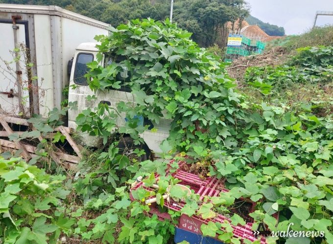 안산시 상록구, 무단방치 자동차 일제 집중 단속… 불편 해소 주력
