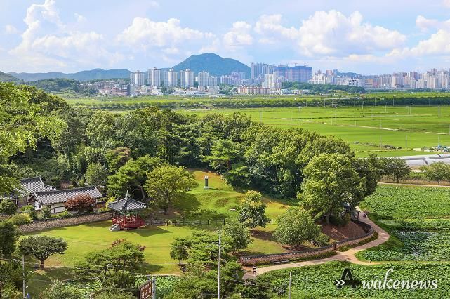 강희맹 선생이 전당홍을 심었다고 알려지는 관곡지 전경. 옆쪽으로 연꽃테마공원이 펼쳐진다
