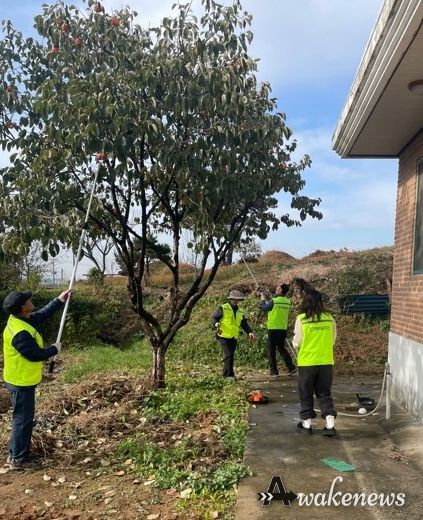 평택시 서탄면 경기행복마을관리소, “감 잡았어~ 감 수확해드립니다”
