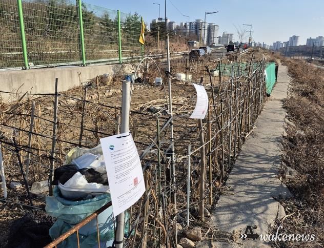 의정부시, 수락지하차도 인근 불법 경작 하천부지 시민 위한 녹지공간으로 탈바꿈