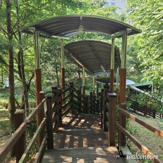 용인특례시 기흥구 보정동 경관녹지 산책로 정비공사가 마무리된 모습