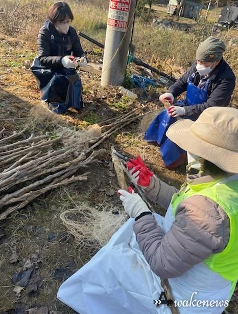양평군 단월면 지역사회보장협의체, '구구팔팔 장수기원 명아주 지팡이 수확 행사' 개최