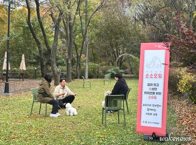 반려견 사회화 교육