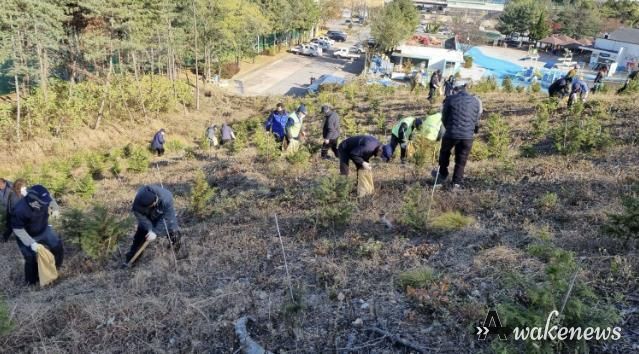 18일 안산시 백운공원에서 열린 비료시비 행사에서 참여자들이 고형복합비료 시비 활동을 진행하고 있다.