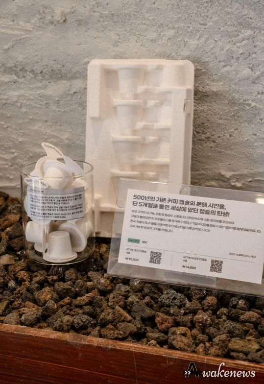 소셜페스타_소길별하 기획전시