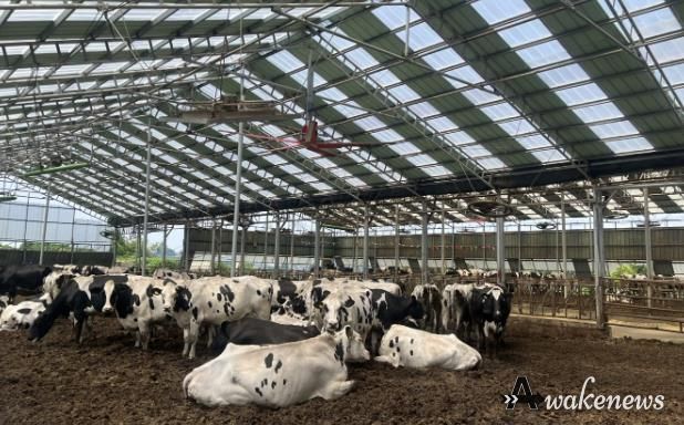 2025년 낙농육우산업 경쟁력 강화사업으로 대형환풍기 설비를 지원받은 축산농가 모습