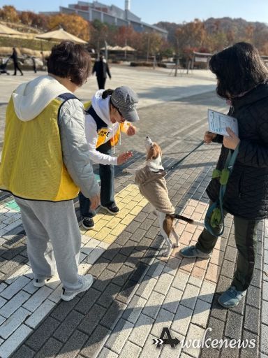 반려동물 관련 사진
