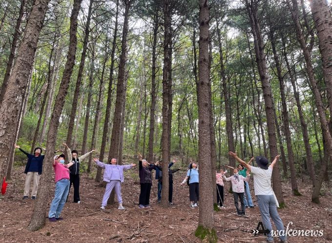 산림치유 프로그램