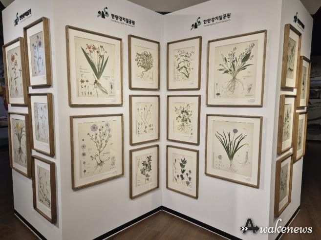 포천시, 한탄강의 아름다운 색채를 담은 압화 전시 개최