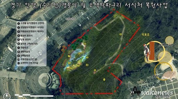 안양시, 병목안시민공원 맹꽁이・오색딱따구리 서식처 복원…국비 4.4억 확보