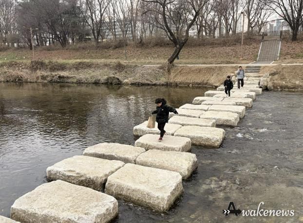 성남시 분당구 구미동 성남물빛공원~무지개마을 잇는 탄천 징검다리