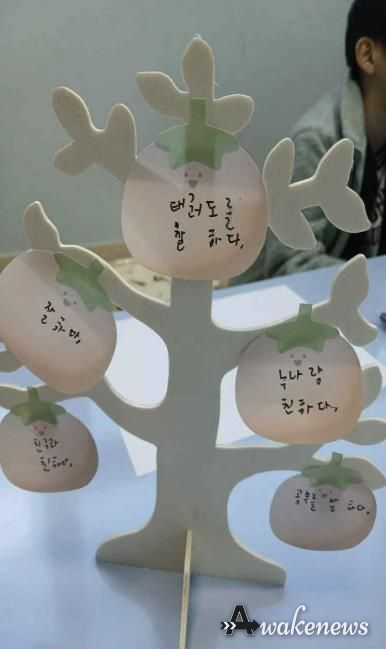 사회성 향상 프로그램