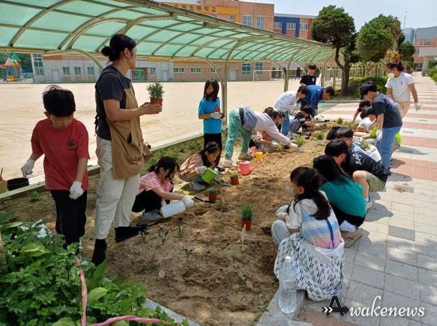 지난해 수원초등학교에서 ‘찾아가는 도시농업 프로그램’을 운영하는 모습.