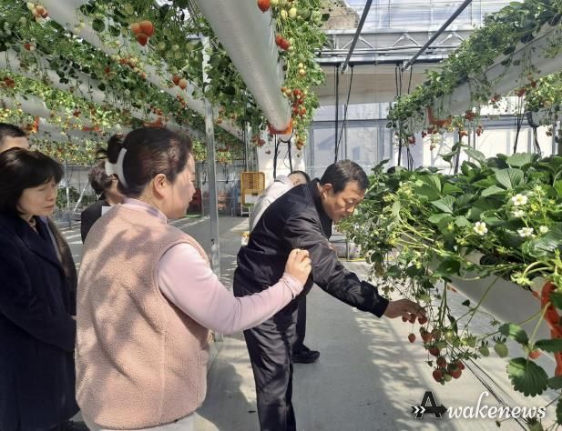 광주시 김충범 부시장, 곤지암읍 딸기 재배 농가 현장 방문
