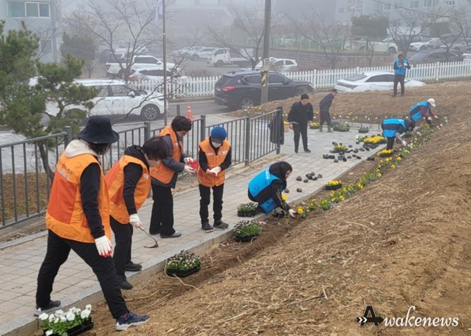 비전2동 2026년 새봄맞이 봄꽃 심기